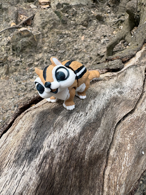 Chipmunk — foto 3