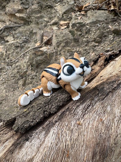 Chipmunk — foto 2