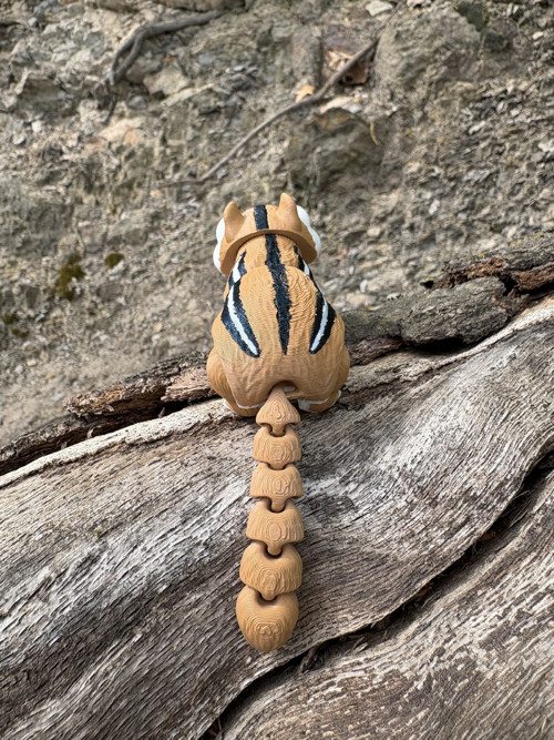 Chipmunk — foto 4