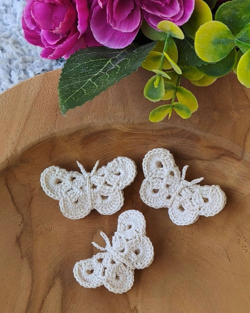 3D motýlek — foto 2