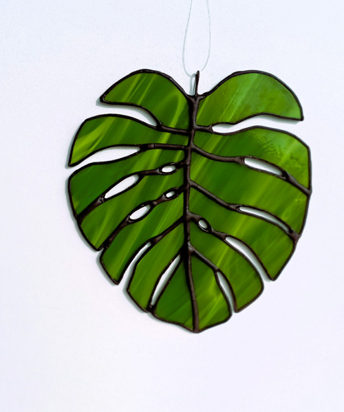 Monstera Leaf — foto 2