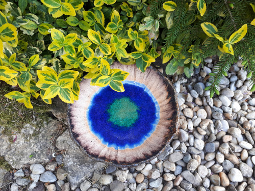 Studánka pro ptáčky, včelky a ježečky — foto 3