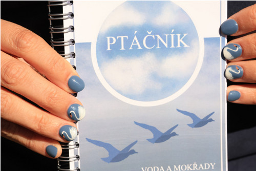 Ptáčník- voda a mokřady — foto 4