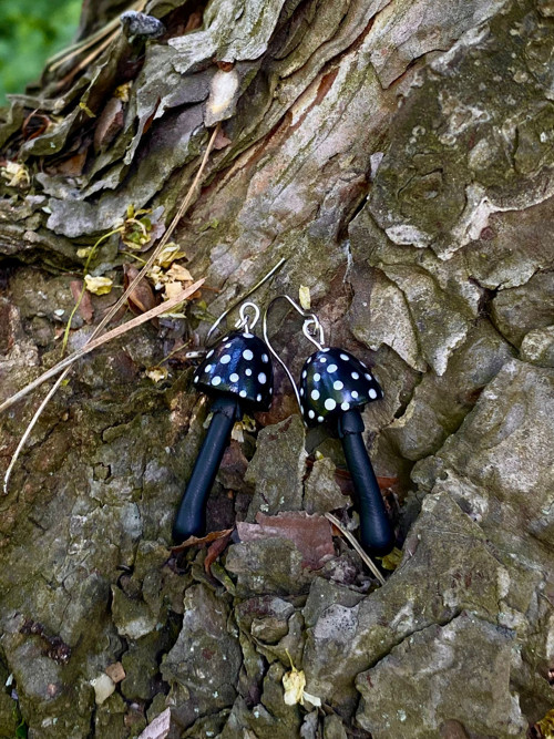 Mushrooms — foto 3