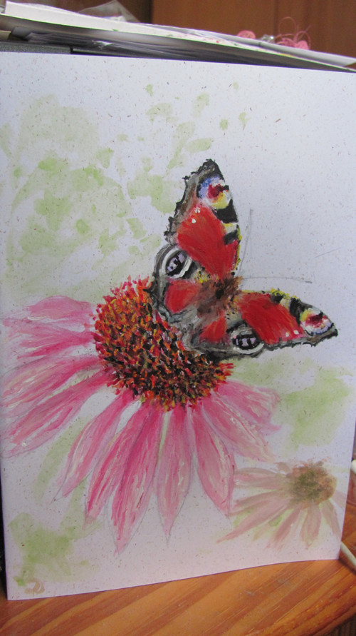 Babočka a Echinacea, malované originál přání — foto 3