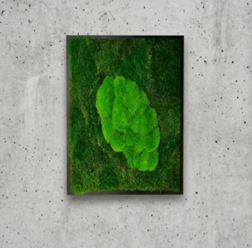 Mechový Obraz 73x53cm — foto 6