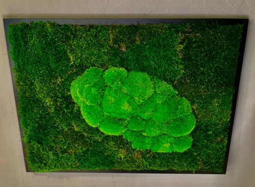 Mechový Obraz 73x53cm — foto 5