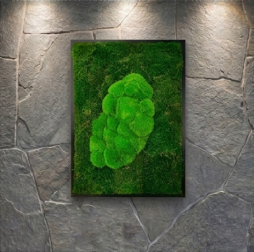 Mechový Obraz 73x53cm — foto 2