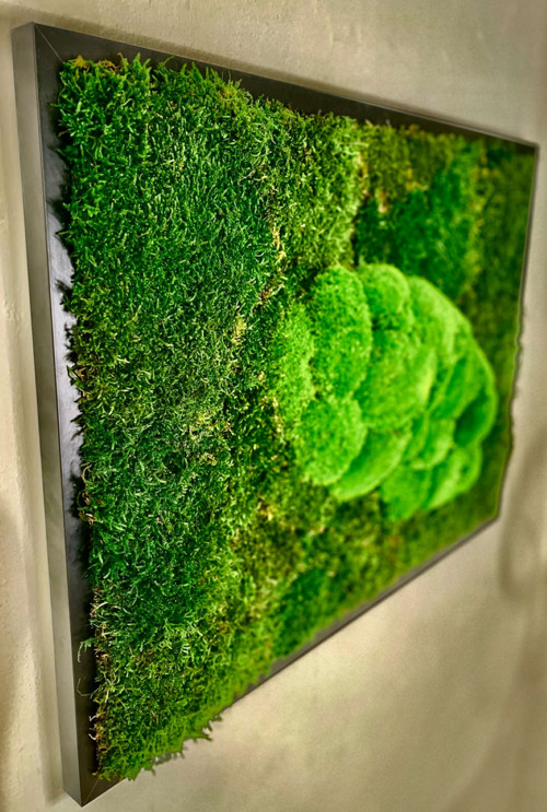 Mechový Obraz 73x53cm — foto 3