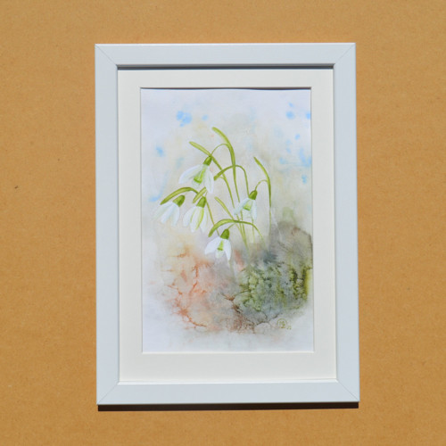 Akvarel - sněženky - 21 x 29 cm — foto 5