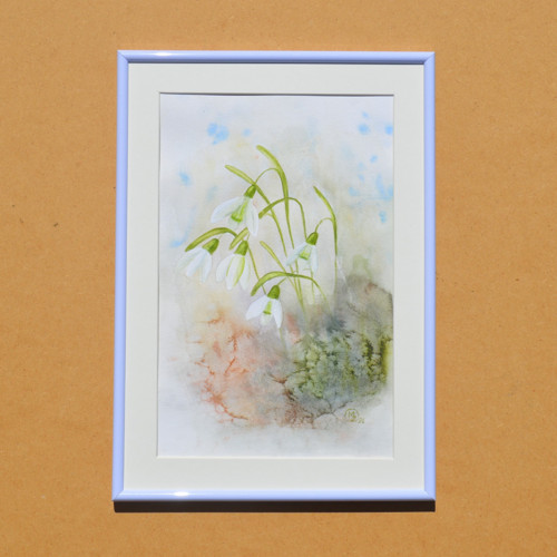 Akvarel - sněženky - 21 x 29 cm — foto 2
