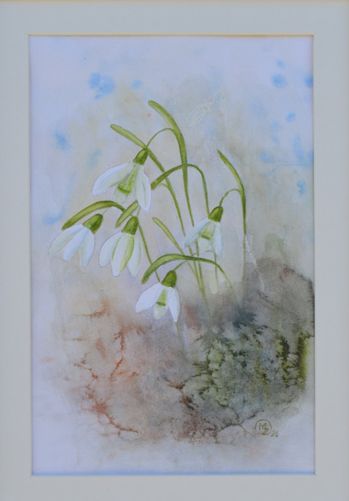 Akvarel - sněženky - 21 x 29 cm — foto 4