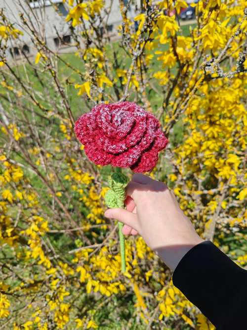 Háčkovaná věčná růže - červená třpytivá — foto 3