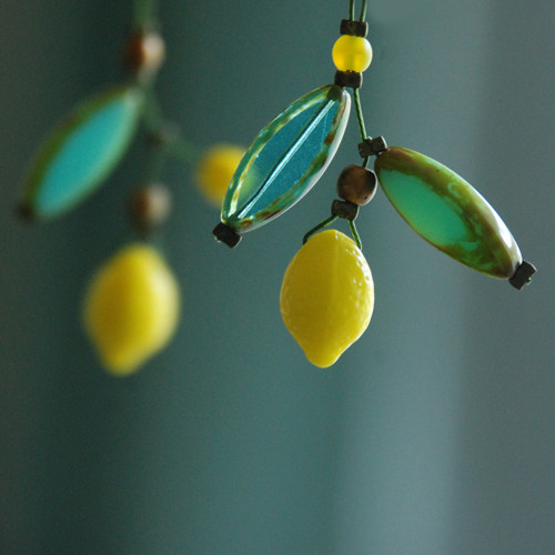 Citronovník — foto 2