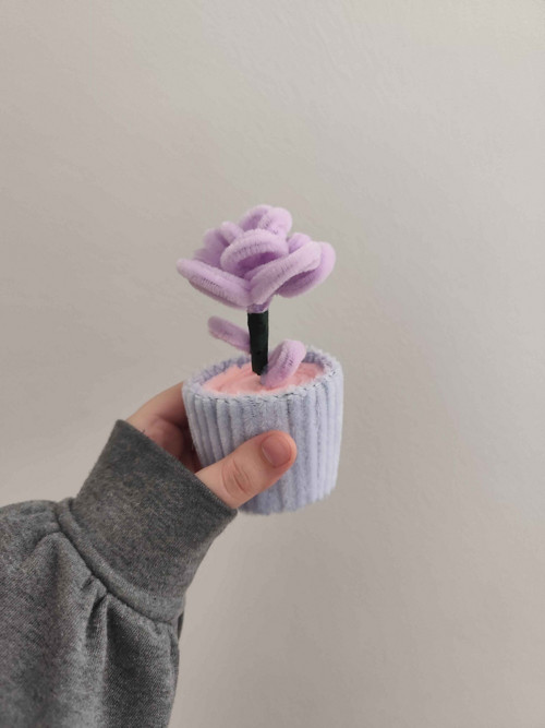 Mini levandule v kelímku — foto 2