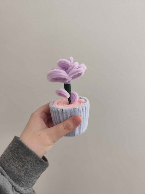 Mini levandule — foto 2
