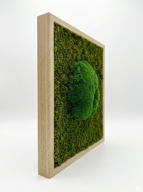 Mechový Obraz 32x23cm — foto 2