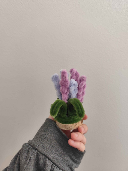 Malinké květinky — foto 3