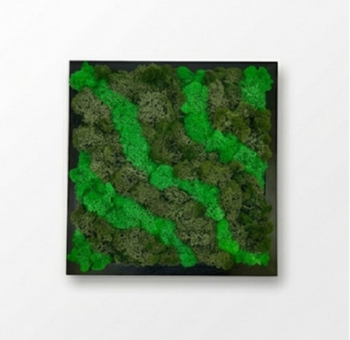 Mechový Obraz 33x33cm — foto 4