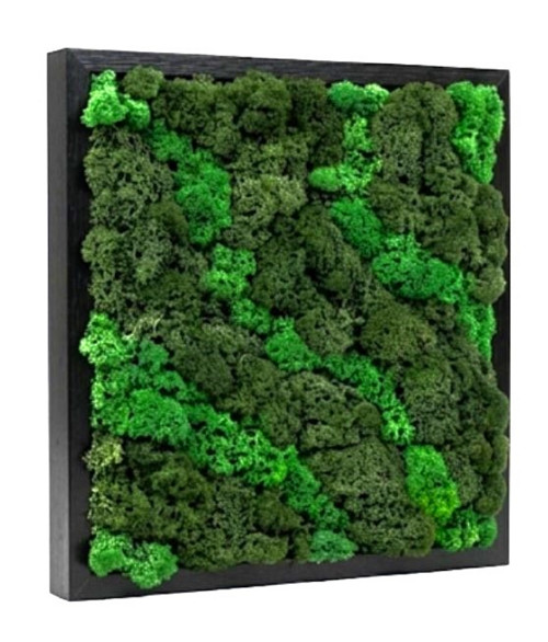 Mechový Obraz 33x33cm — foto 2
