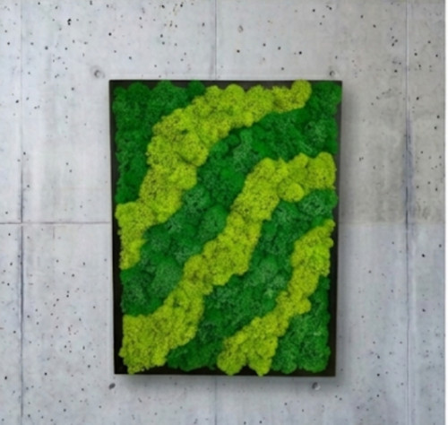 Mechový Obraz 42x32cm — foto 5