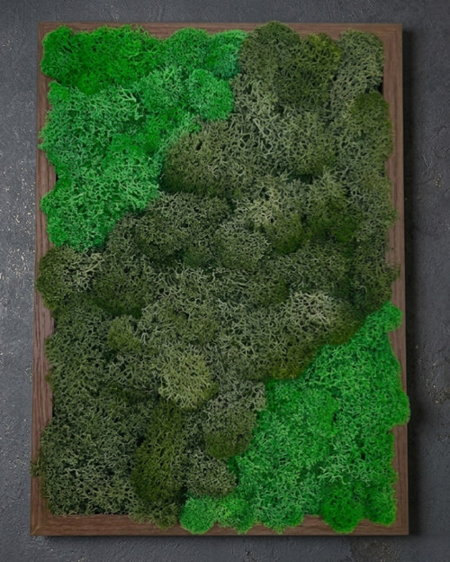 Mechový Obraz 32x23cm — foto 2