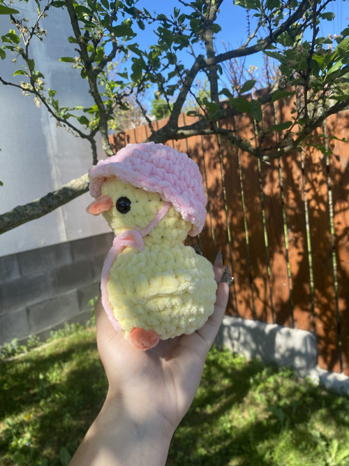 Háčkovaná kachnička — foto 4