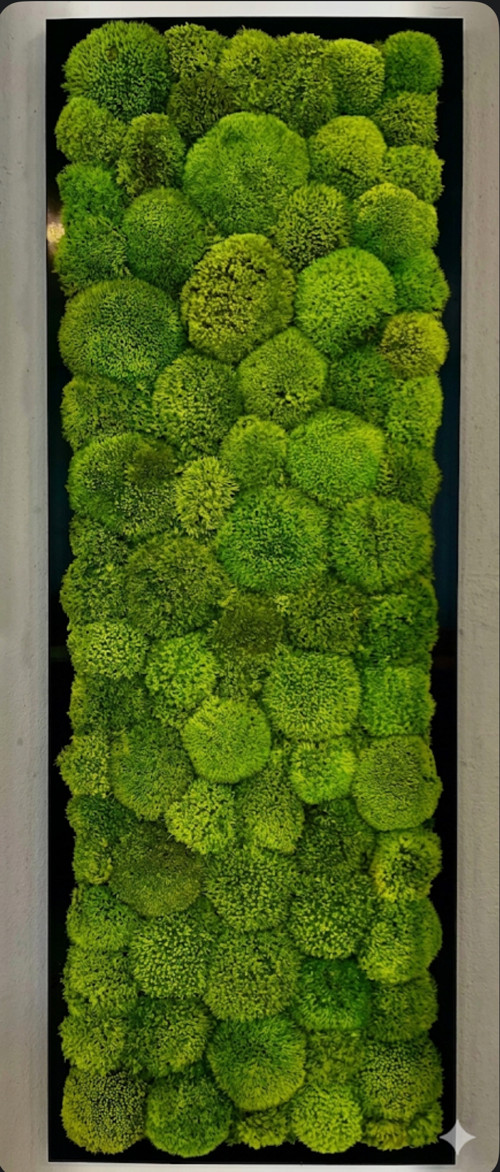 Mechový Obraz 95x35cm — foto 3