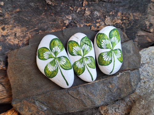 Talisman pro štěstí - mix čtyřlístků — foto 2