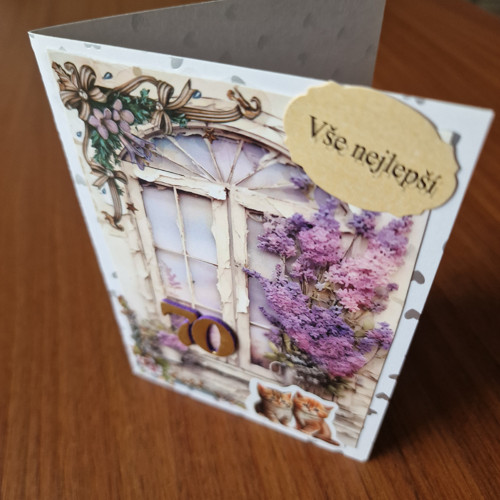 Všechno nejlepší k 70. — foto 3