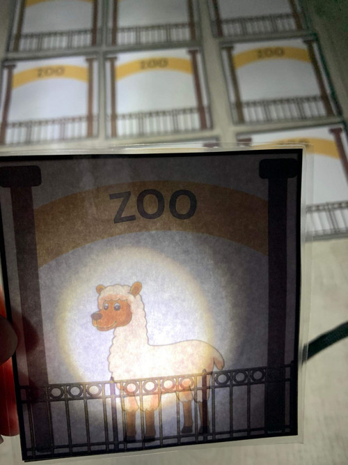 Zoo Prosvětlování — foto 3