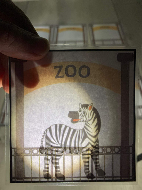 Zoo Prosvětlování — foto 2