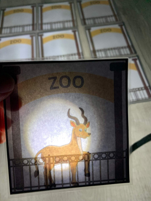Zoo Prosvětlování — foto 5