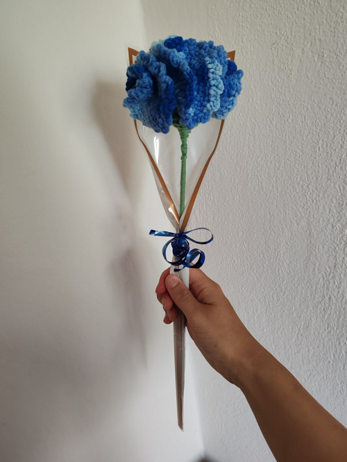 Modrobílé léto — foto 3