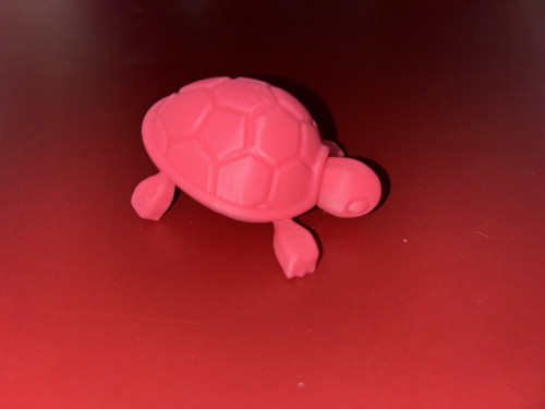 Pohyblivá mini želvička — foto 2