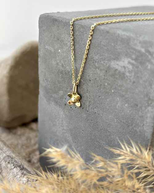 Čtyřlístek na přání — foto 2