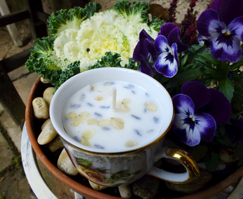 Svíčka v porcelánu — foto 2