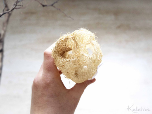 Přírodní lufa z české zahrádky - 18 cm — foto 6