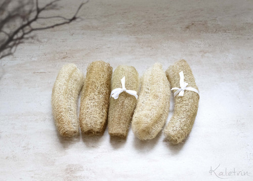 Přírodní lufa z české zahrádky - 18 cm — foto 3
