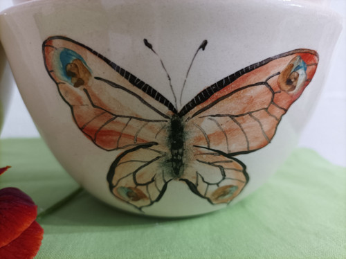 Motýlí louka — foto 4