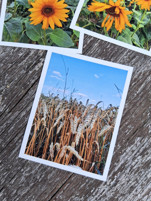 Fotografie do alba srpen — foto 3