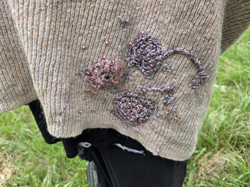 Krakatice — foto 3