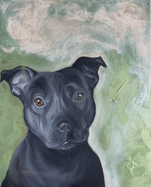 Dog Staf face .... obraz — foto 6