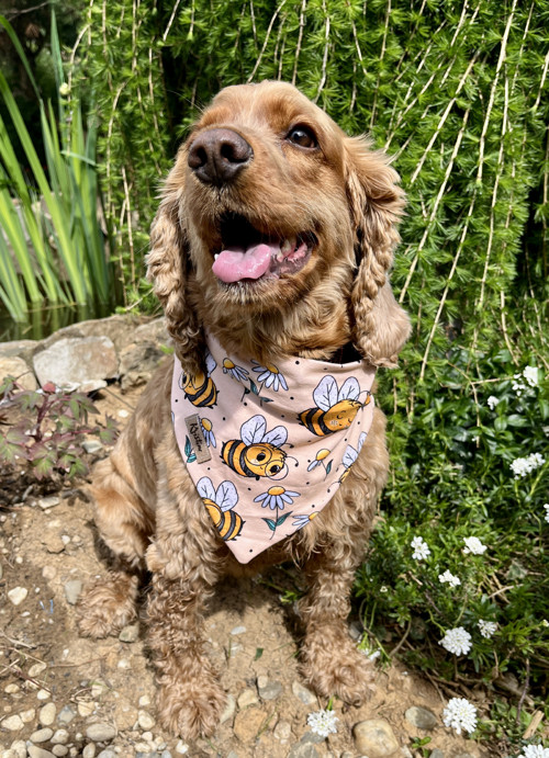 Šátek pro psy + scrunchie - Bumblebee- velikost M — foto 3