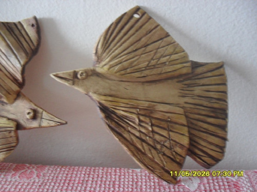 Ptačí konverzace - pár — foto 2