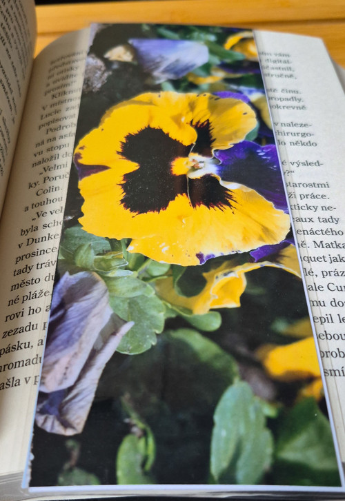 ​Kolekce Lidice: Jarní probuzení — foto 3