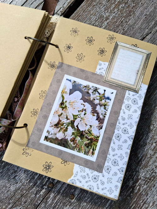 Fotografie do alba třešeň — foto 2