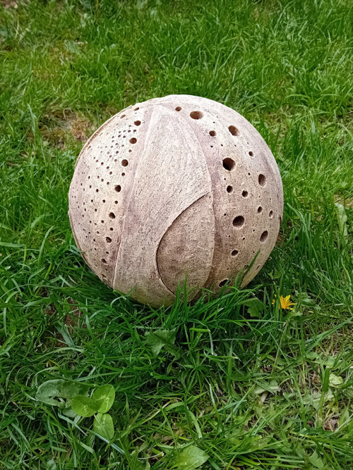 Koule prořezávaná — foto 6