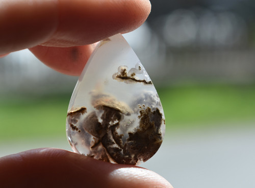 Chalcedon s vrostlicemi — foto 4