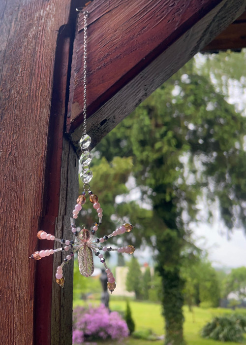 Lapač slunce - pavouk 01 — foto 5